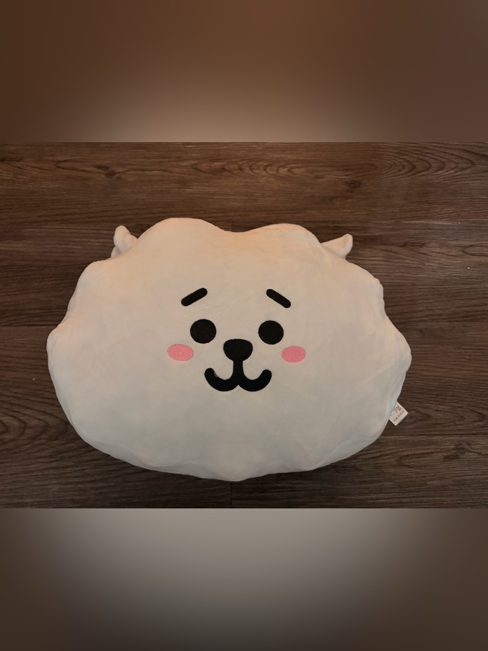 Official Line Friends BT21 RJ Face Plush Cushion (2017)